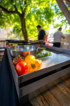 2024-08-23 Kul Petek-6